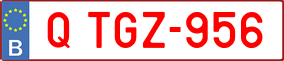 Trailer License Plate